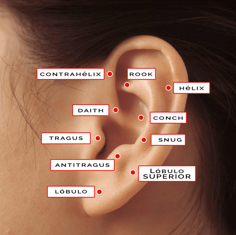 posición piercings oreja
