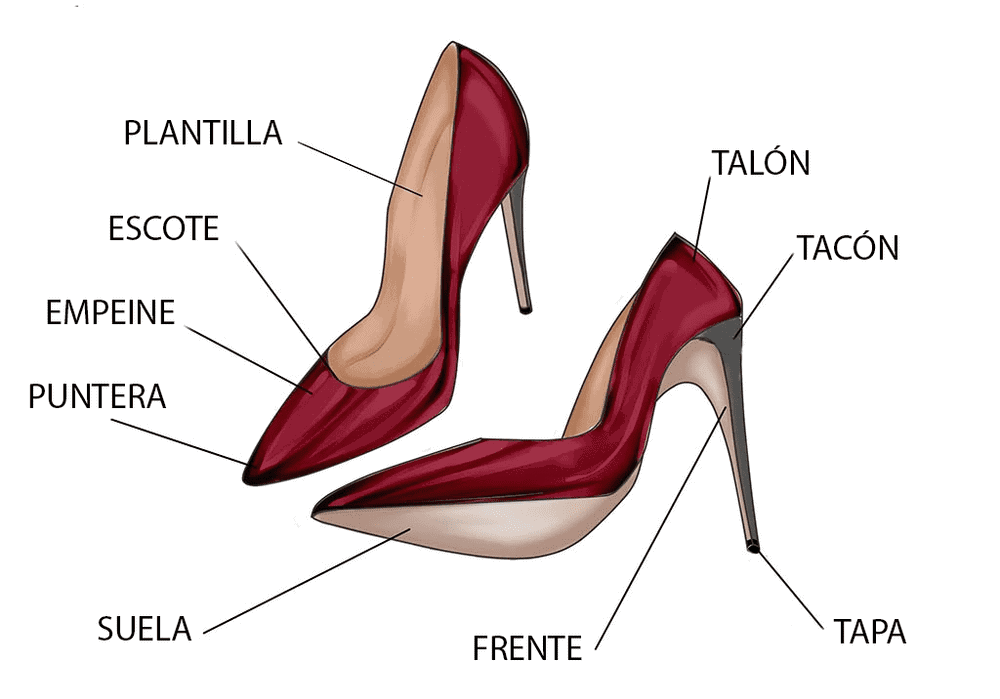 infografía partes de un zapatos de tacón