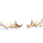 pendientes trepadores oro