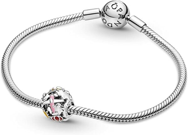 charm pandora original 791695c01