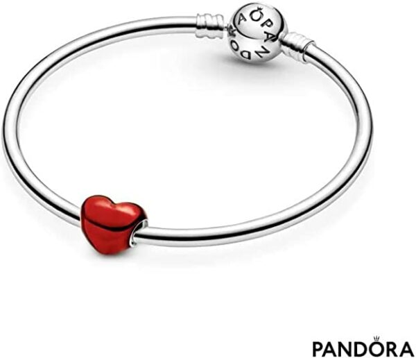 charm pandora plata 799291c02