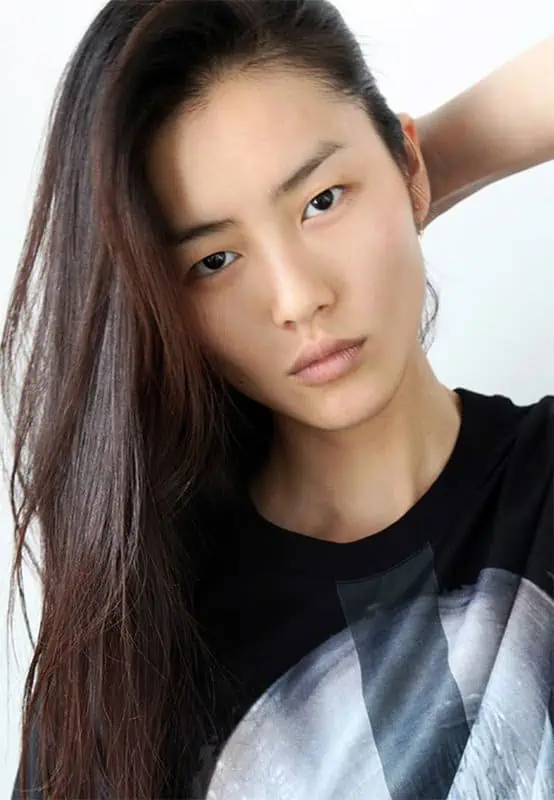 liu wen